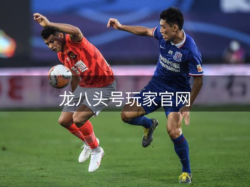 网站详情